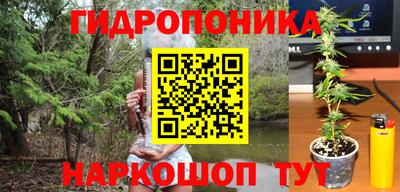 apvp Балашиха
