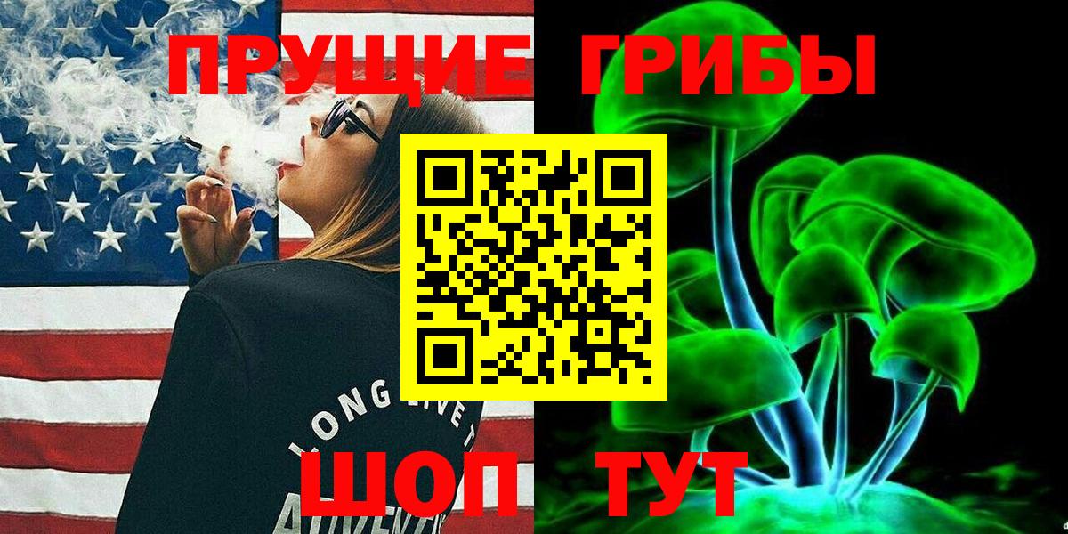 Камышлов  Псилоцибиновые грибы мухоморы  Вход с VPN  где купить наркоту  Галлюциногенные грибы ЛСД 