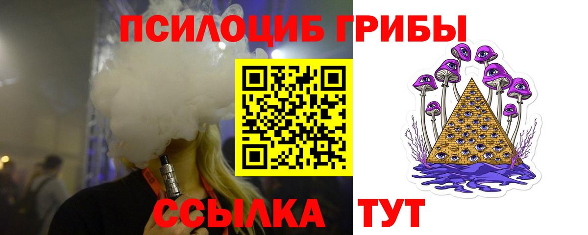 Псилоцибиновые грибы ЛСД Камышлов