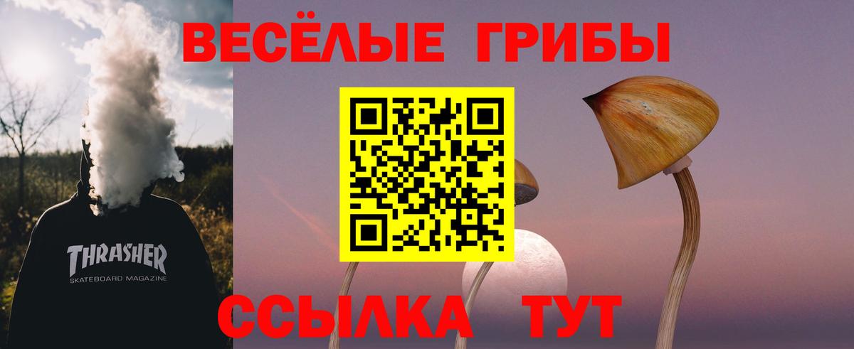 Марихуана  Меф  Вход с VPN  Cocaine  НБОМе  Круглые  Альфа-ПВП  Купить наркотик  Камышлов  Кислота  ГАШ  Гарик 